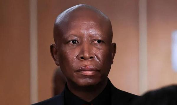 Julius Malema Sentenced to Five Years Over Firearm Case