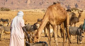 At Least 42 Killed in Chad After Water Well Dispute Escalates