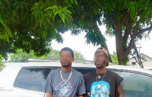 Two Arrested in Kintampo for Possession of Suspected Cannabis Worth GH¢107,000