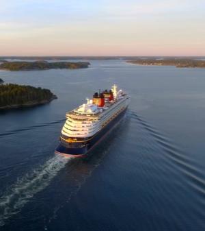 What Is Hantavirus? Rare Rodent-Borne Virus Linked to Atlantic Cruise Ship Cases Explained
