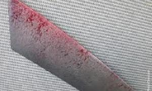 Wife Allegedly Kills Husband in Dispute Over Charcoal Money