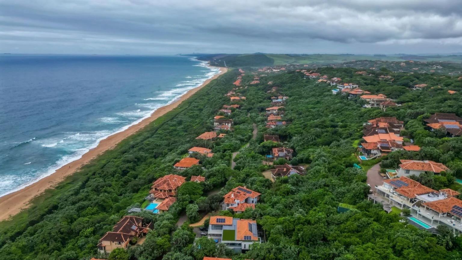 Luxury town Ballito now home to one of the world’s rarest coffee species