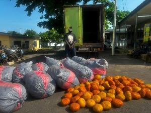 Truck Driver Arrested with 12 Sacks and 80 Parcels of Suspected Indian Hemp