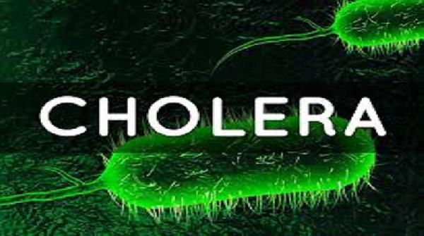 Borno State Records 274 New Cholera Cases in 24 Hours as Outbreak Intensifies