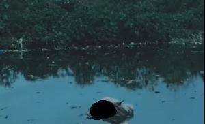 Shock at Korle Lagoon After Human Remains Reportedly Discovered in Disturbing Scene