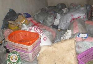 NACOC Seizes Over 2.3 Tonnes of Suspected Cannabis in Volta Region Crackdown