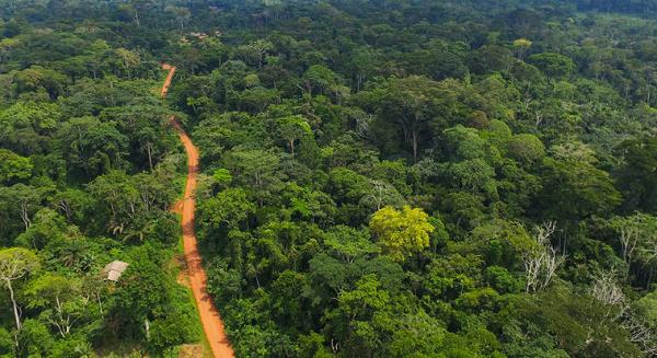 Cabinet Revokes E.I. 144, Restores Full Protected Status to Achimota Forest