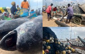 Where the Fish on Your Plate Comes From