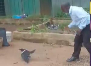 Prophet Nhyira Explains Viral Encounter With Black Crow During Nsawam Market Evangelism