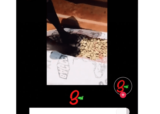 Trader Discovers Cement Blocks Hidden in Sack of Cashew Nuts