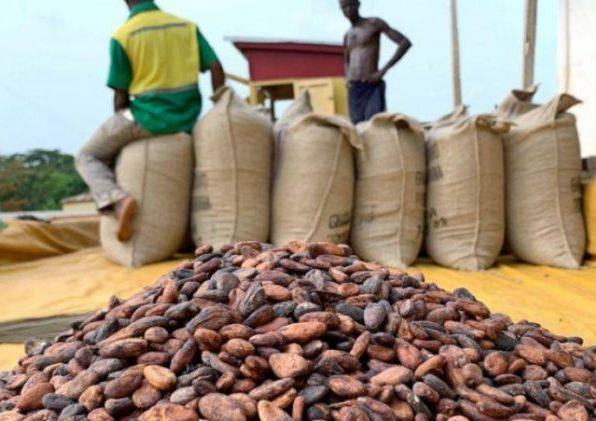 MP Damata Calls for Reversal of Cocoa Price Cut and Electricity Tariff Hike