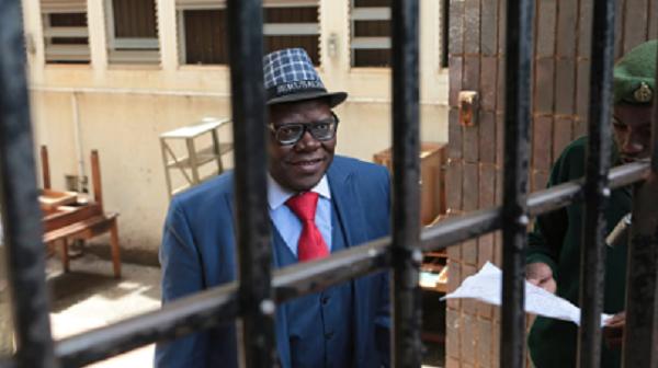 Zimbabwe Opposition Leader Granted Bail Amid Political Tensions