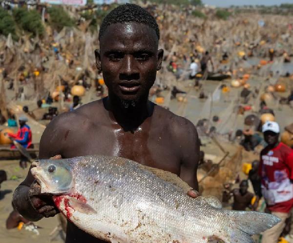 Catch of the Day: Nigerian Fishing Festival Draws Thousands in Celebration of Culture and Tradition