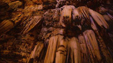 5 Things You Didn’t Know About The Bothongo WonderCave