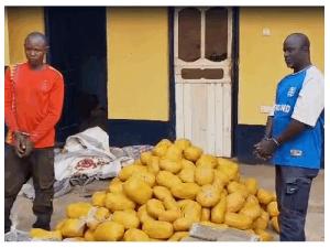 Police Intercept Bus Carrying 396 Suspected Cannabis Parcels in Yeji